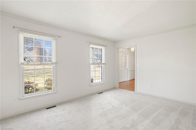 empty room with carpet flooring and ornamental molding