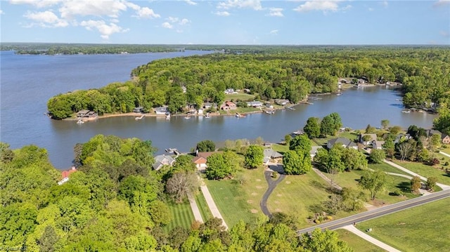 aerial view of a forest and a large body of water