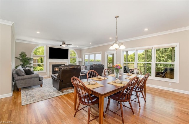 dining area featuring crown molding, baseboards, light wood-style floors, a fireplace, and ceiling fan