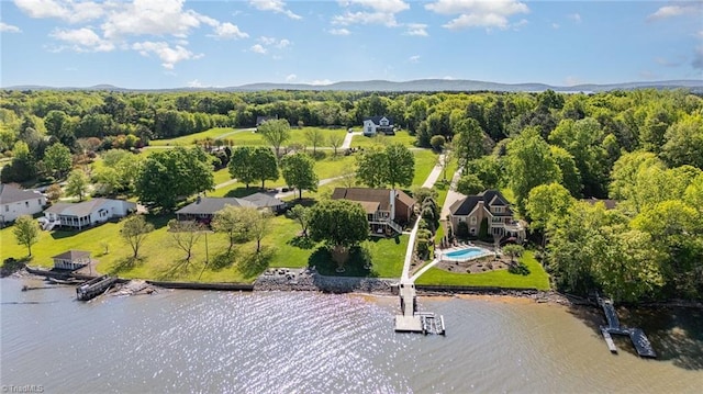 bird's eye view of a nearby body of water