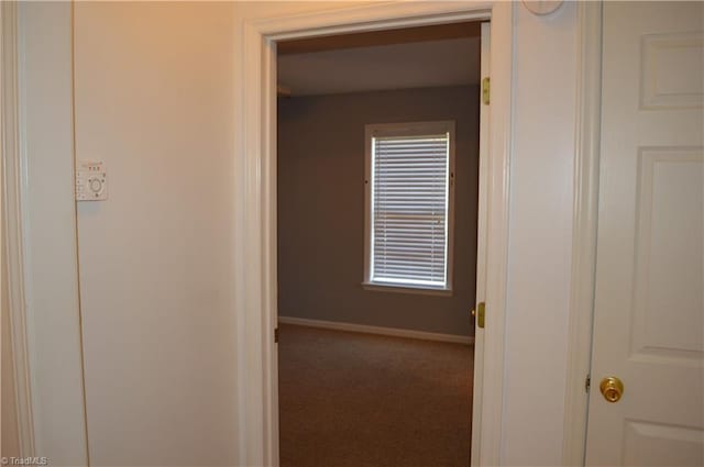 hall with carpet flooring and plenty of natural light