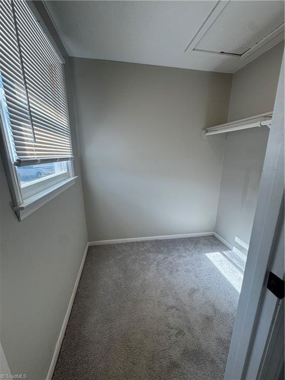 spare room featuring carpet floors and baseboards