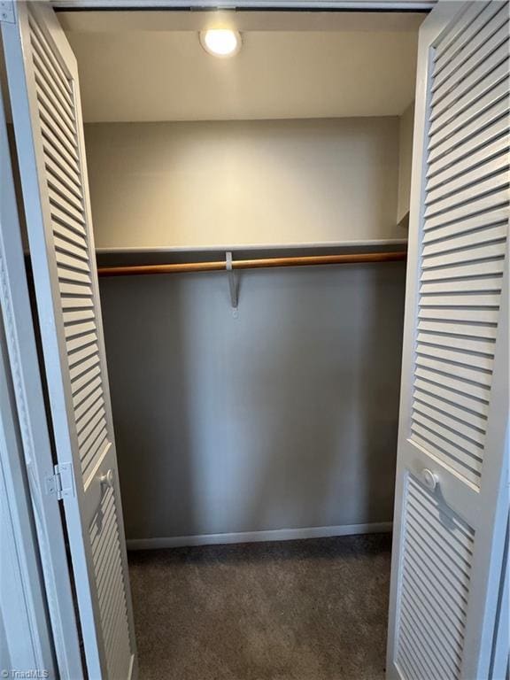 view of closet