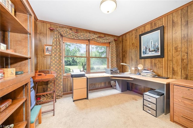 4630 Woodleaf Rd, Salisbury, NC 28147 - office area with ornamental molding, wooden walls, and light colored carpet