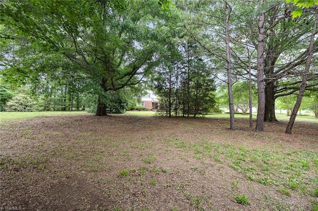 4630 Woodleaf Rd, Salisbury, NC 28147 - view of yard