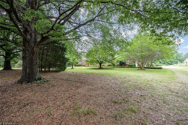4630 Woodleaf Rd, Salisbury, NC 28147 - view of yard