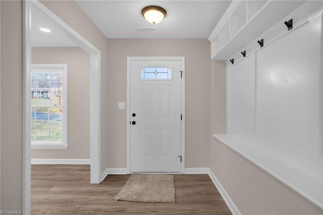 mudroom with a wealth of natural light and wood-type flooring