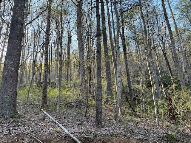 TBD Briar Rock Trail, Fancy Gap VA, 24328 land for sale