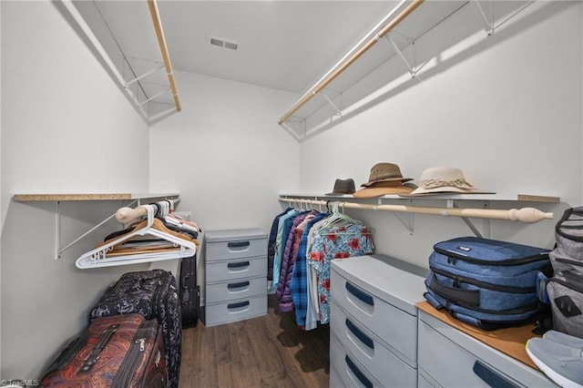 spacious closet with dark wood finished floors