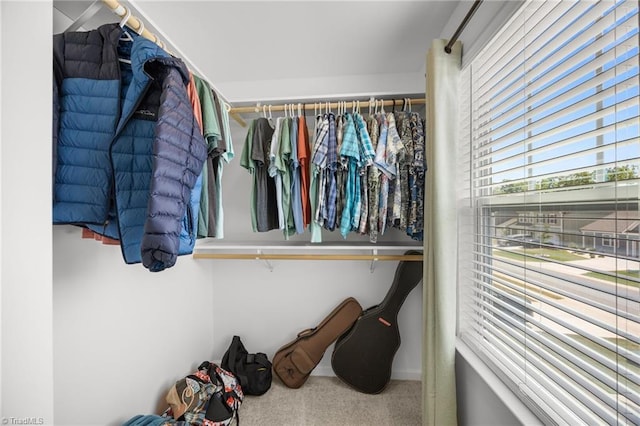 spacious closet featuring carpet