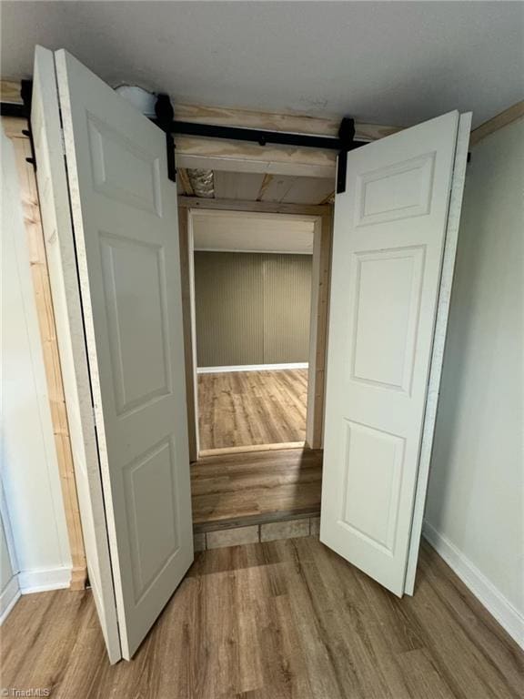 view of closet