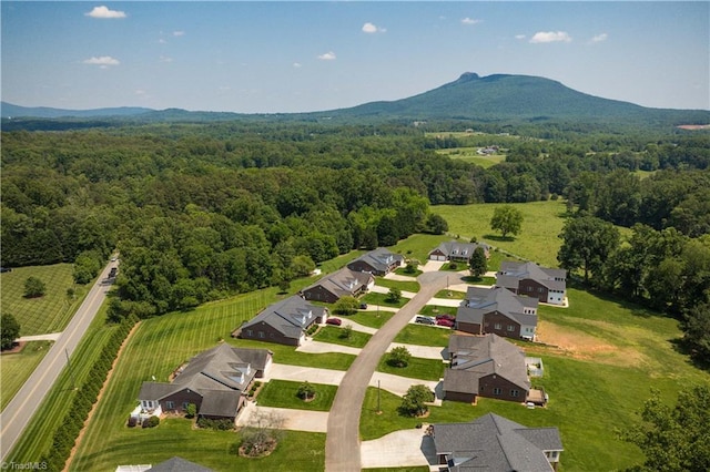 149 Royal View Dr Unit 1, Pinnacle, NC 27043 - aerial perspective of suburban area with a heavily wooded area and a mountainous background