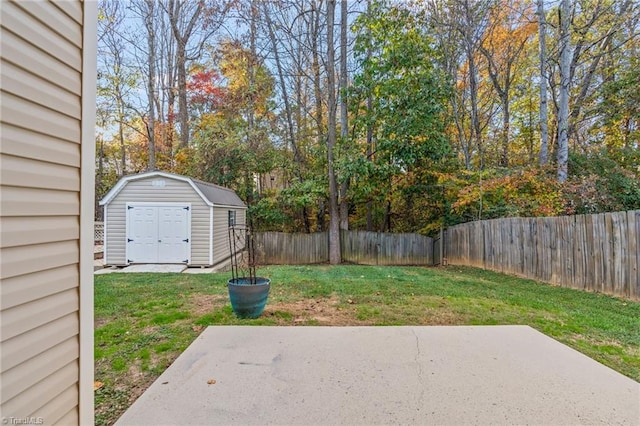 view of yard with a storage shed and a patio area