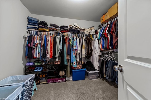 203 Cross Country Chase, Stokesdale, NC 27357 - walk in closet featuring carpet flooring