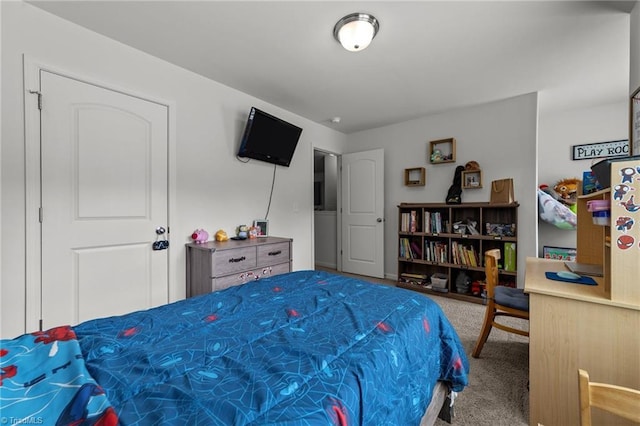 203 Cross Country Chase, Stokesdale, NC 27357 - view of carpeted bedroom