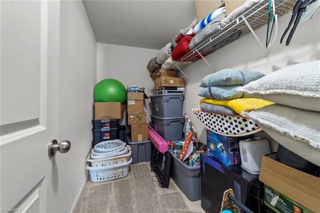203 Cross Country Chase, Stokesdale, NC 27357 - view of storage room