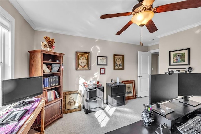 office space with ceiling fan, crown molding, and carpet