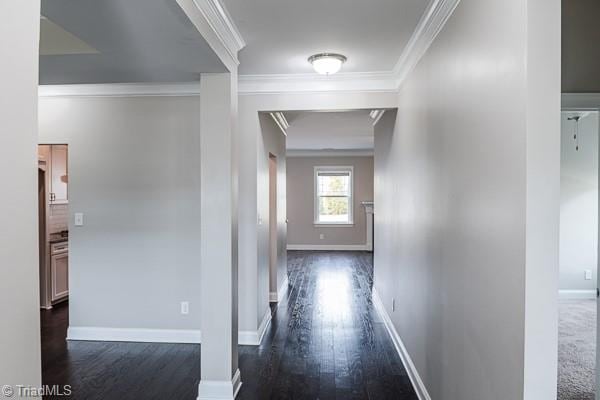 corridor featuring crown molding and dark wood-type flooring