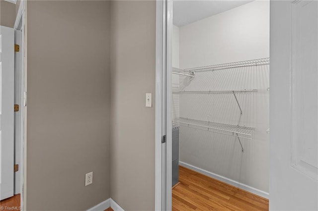 spacious closet featuring wood finished floors