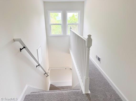 stairs with baseboards and carpet flooring