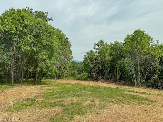 view of wooded area