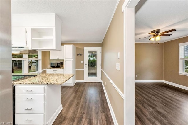 225 E Greencrest Dr, Millers Creek, NC 28651 - kitchen with stainless steel microwave, dark wood-style floors, white cabinetry, under cabinet range hood, and light stone countertops