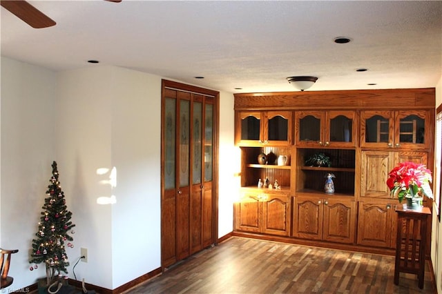 interior space with dark hardwood / wood-style floors