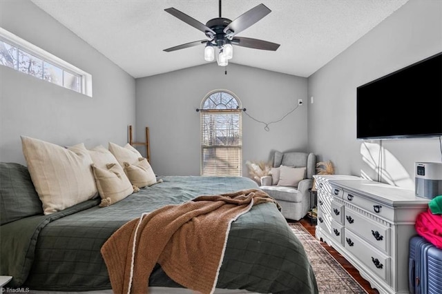 bedroom with vaulted ceiling, multiple windows, dark wood-style floors, and a textured ceiling