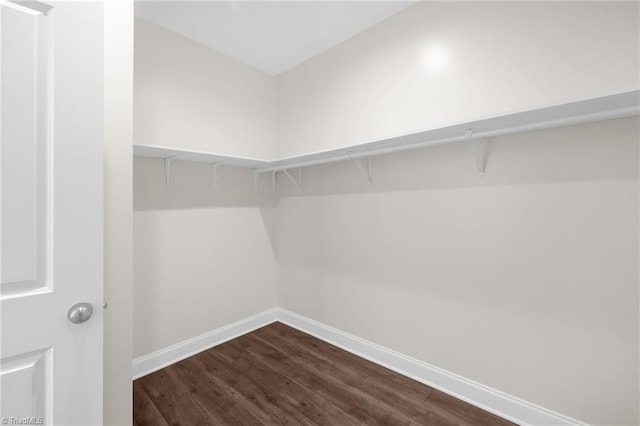 walk in closet with dark wood finished floors