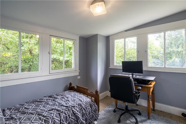 carpeted bedroom with vaulted ceiling