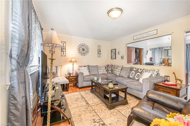 living room with ornamental molding and light hardwood / wood-style floors