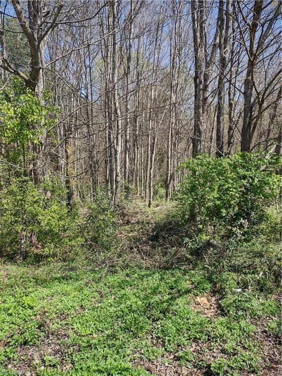 5550 Brookfield Ridge Dr, Winston-Salem NC, 27105 land for sale