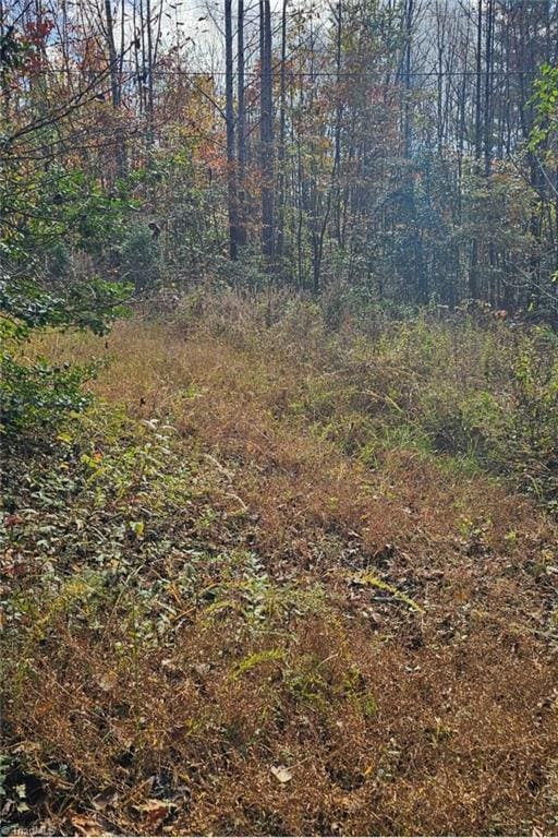 Listing photo 3 for OFF Germantown Rd, Moravian Falls NC 28654