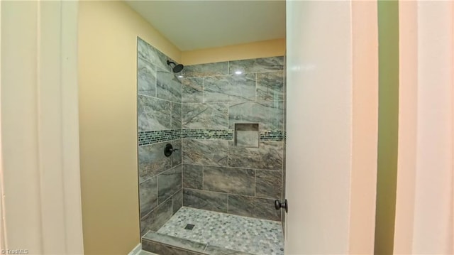 2209 Bracyridge Rd, Greensboro, NC 27407 - full bath featuring a tile shower