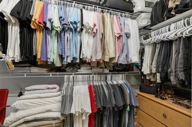 view of spacious closet