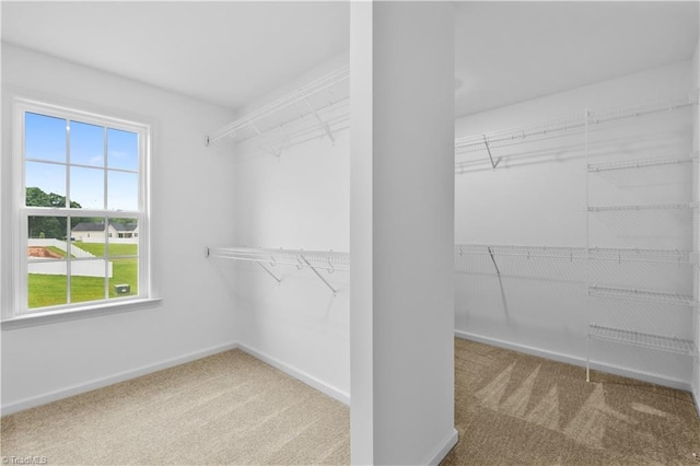 700 Fairmile Dr, Greensboro, NC 27455 - walk in closet with carpet floors