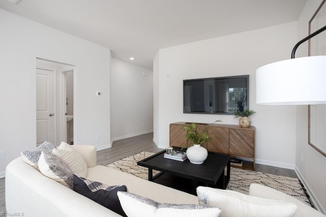 living room with wood-type flooring