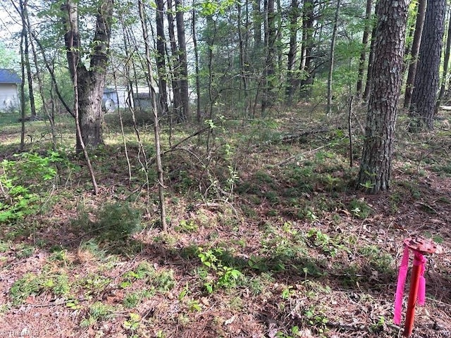 225 Dan Bryant Rd, Pilot Mountain, NC 27041 - view of undeveloped land