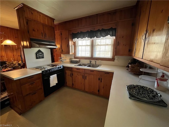 kitchen with black electric range, sink, and wood walls