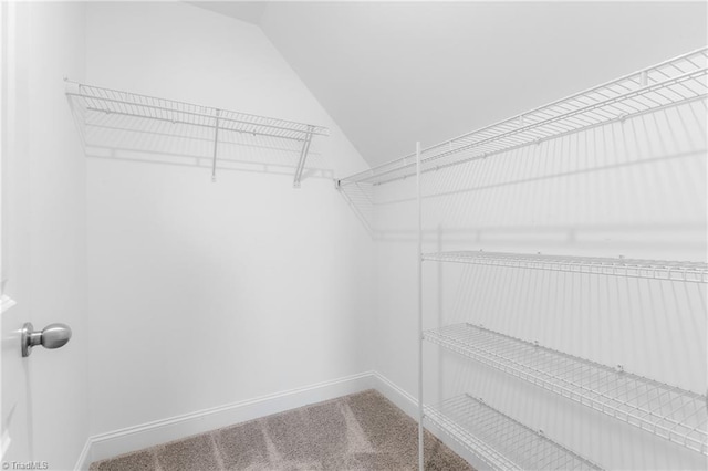 spacious closet with carpet floors and vaulted ceiling