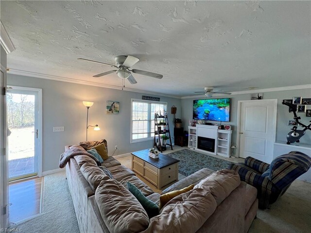 carpeted living room featuring ceiling fan, ornamental molding, and a fireplace