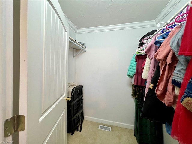 view of walk in closet