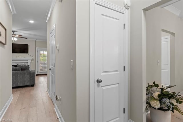 corridor featuring light hardwood / wood-style flooring and ornamental molding