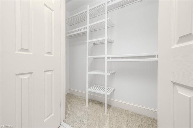 1000 Brookmeade Dr, Winston-Salem, NC 27106 - walk in closet featuring carpet floors