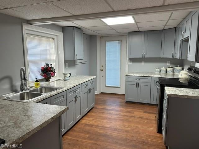 kitchen featuring sink, gray cabinets, dark hardwood / wood-style floors, stainless steel electric range oven, and a drop ceiling