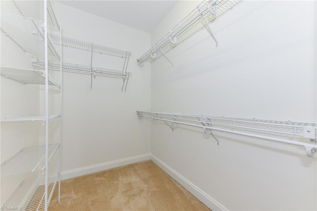 4294 Plantation Ridge Ln, Greensboro, NC 27409 - walk in closet with light carpet