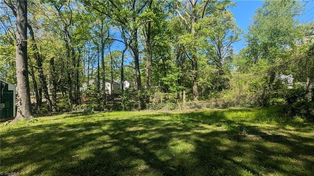 2806 Robin Hood Dr, Greensboro, NC 27408 - view of yard