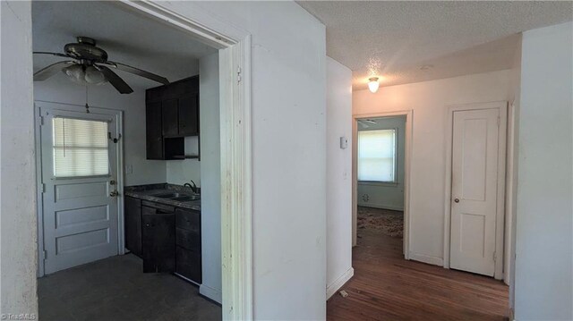 2806 Robin Hood Dr, Greensboro, NC 27408 - hallway with dark wood finished floors, a healthy amount of sunlight, a sink, and a textured ceiling