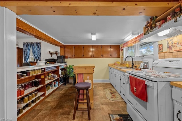 kitchen with electric stove, decorative backsplash, sink, and range hood