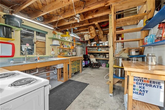 storage area with sink and gas water heater